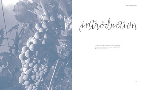 Photo of Introduction page for Packaging Design and Layout by Rachel Stelzer for Polykroma 2021. Title Horsehill Vineyards Wine Label.
